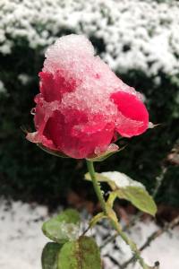 Winter storm watch on Monday evening | WEATHER UPDATE