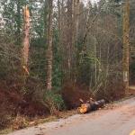 Light winds expected in the area through Wednesday