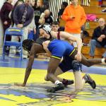 Lindbergh places fifth at districts, sends 10 to regionals | Slideshow