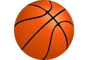 Lindbergh falls to Lynden at the SunDome