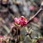 Rainy weekend ahead | WEEKEND WEATHER