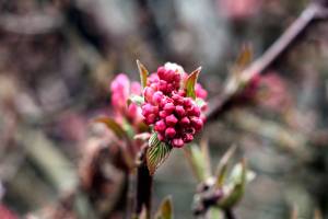 Rainy weekend ahead | WEEKEND WEATHER