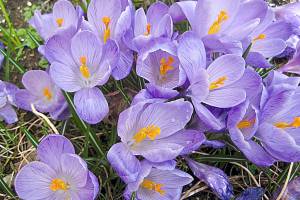 More spring showers this weekend |WEEKEND WEATHER