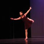 RHS Multicultural Show 2017 | GALLERY