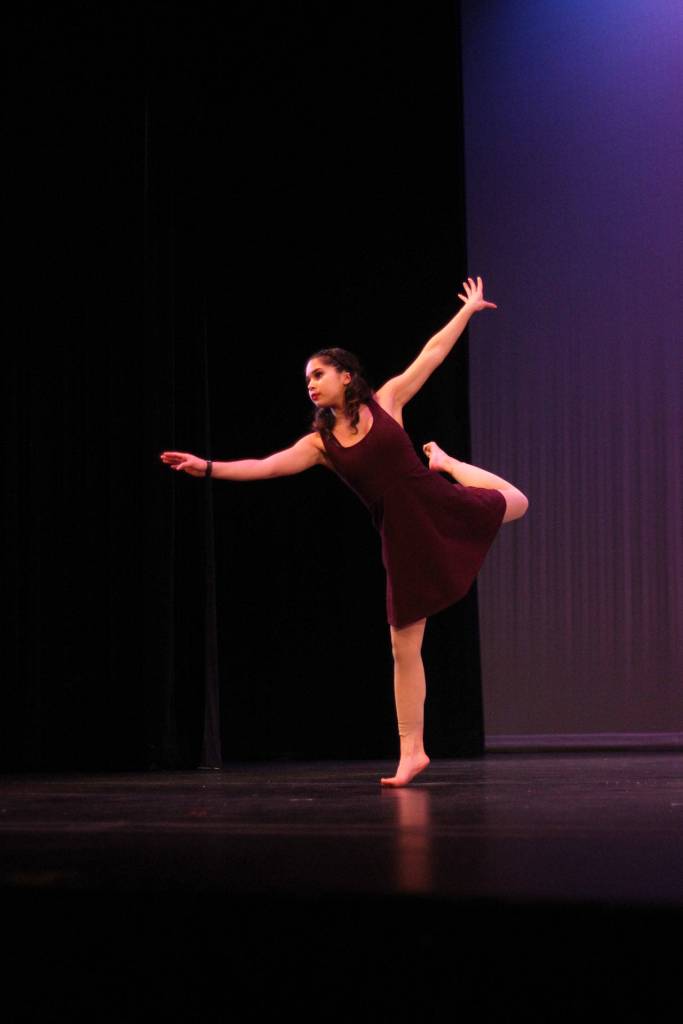 RHS Multicultural Show 2017 | GALLERY