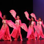 RHS Multicultural Show 2017 | GALLERY
