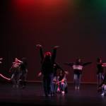 RHS Multicultural Show 2017 | GALLERY