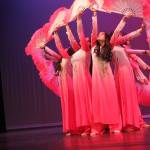 RHS Multicultural Show 2017 | GALLERY