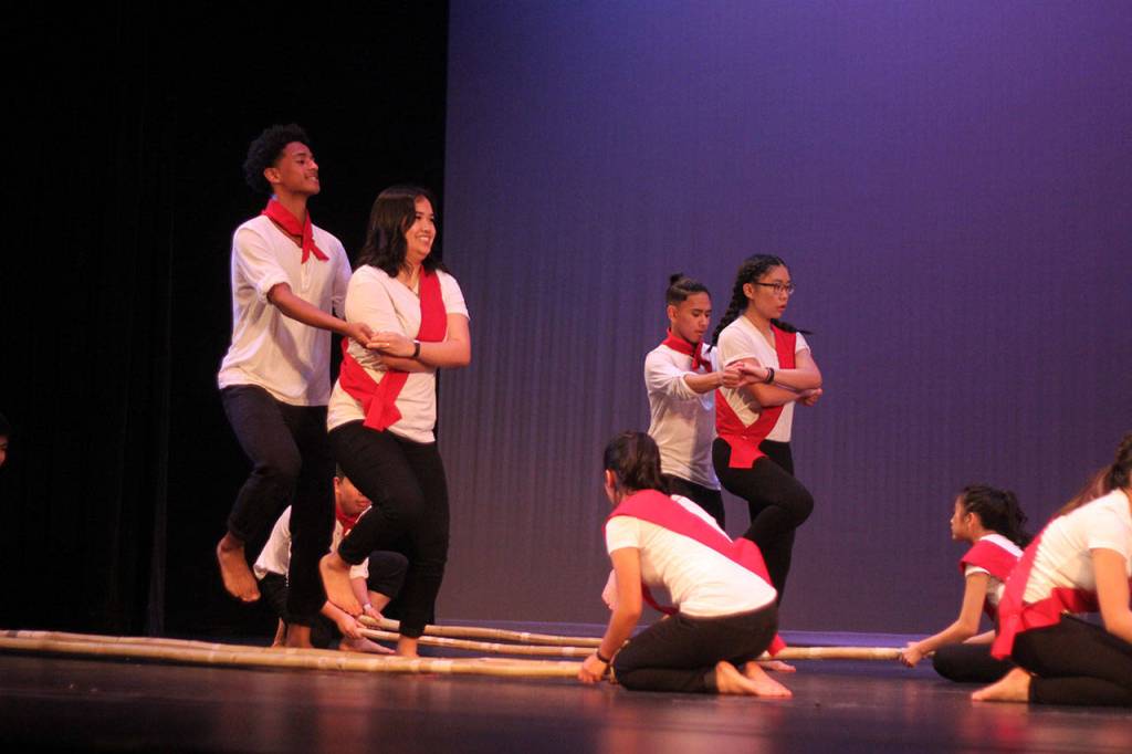 RHS Multicultural Show 2017 | GALLERY