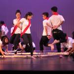 RHS Multicultural Show 2017 | GALLERY