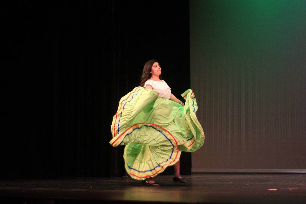 RHS Multicultural Show 2017 | GALLERY