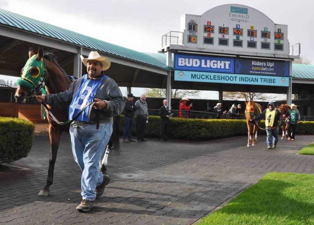 The paddock gets busy with walkers and entries. RACHEL CIAMPI, Reporter