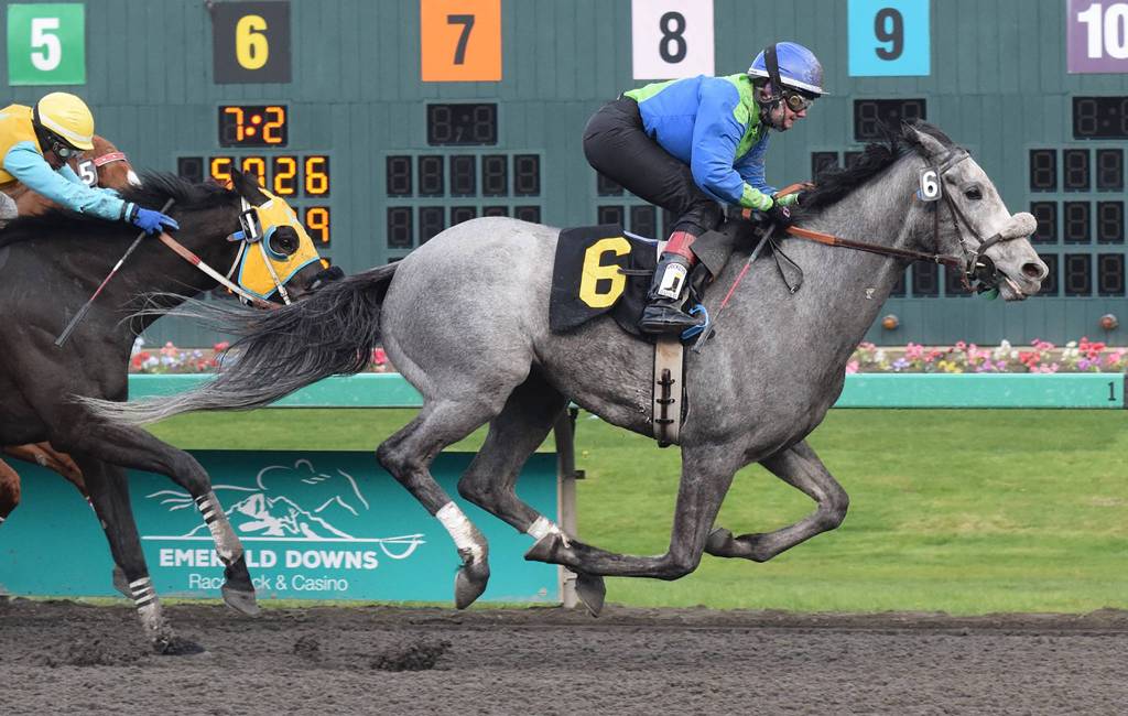 Eliska Kubinova rides Bob Is Back to victory in the first race of the new season at Emerald Downs on Saturday. It was Kubinova&rsquo;s first win at the Auburn track in two years. RACHEL CIAMPI, Auburn Reporter