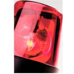 12 men were arrested during online child sex sting