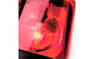 12 men were arrested during online child sex sting