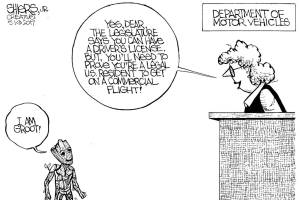 Not even for you, Groot | FRANK SHIERS JR.’S VIEW