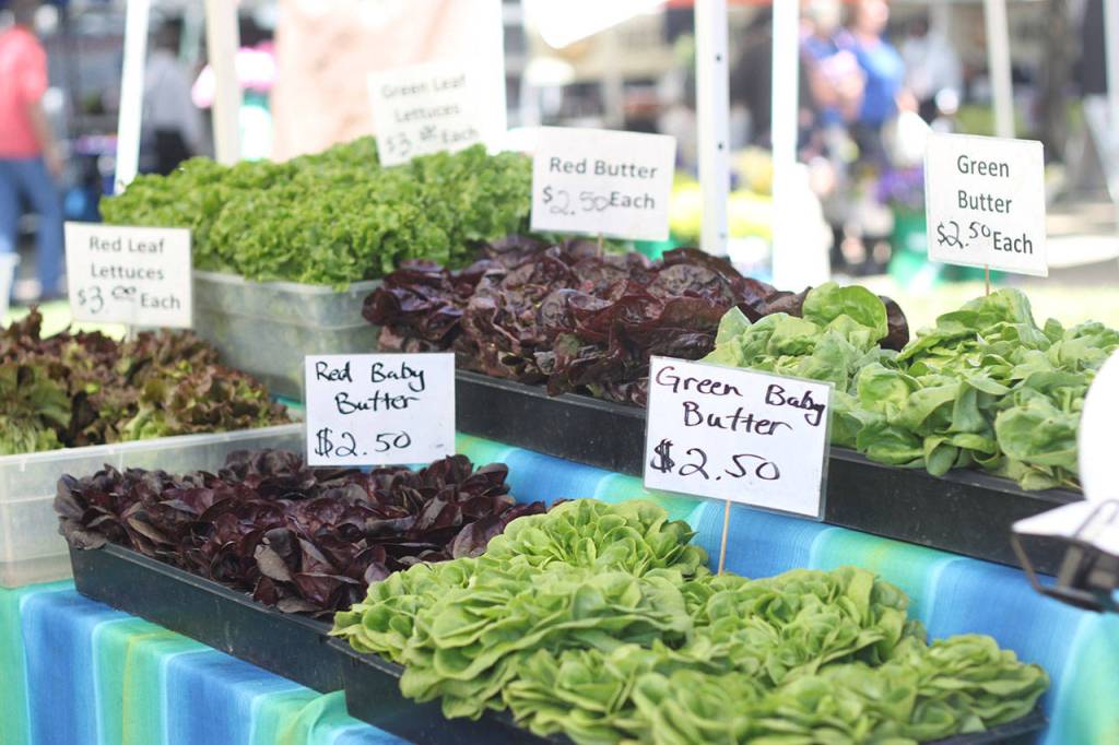 Renton Farmers Market opens for the season | GALLERY