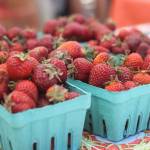 Renton Farmers Market opens for the season | GALLERY