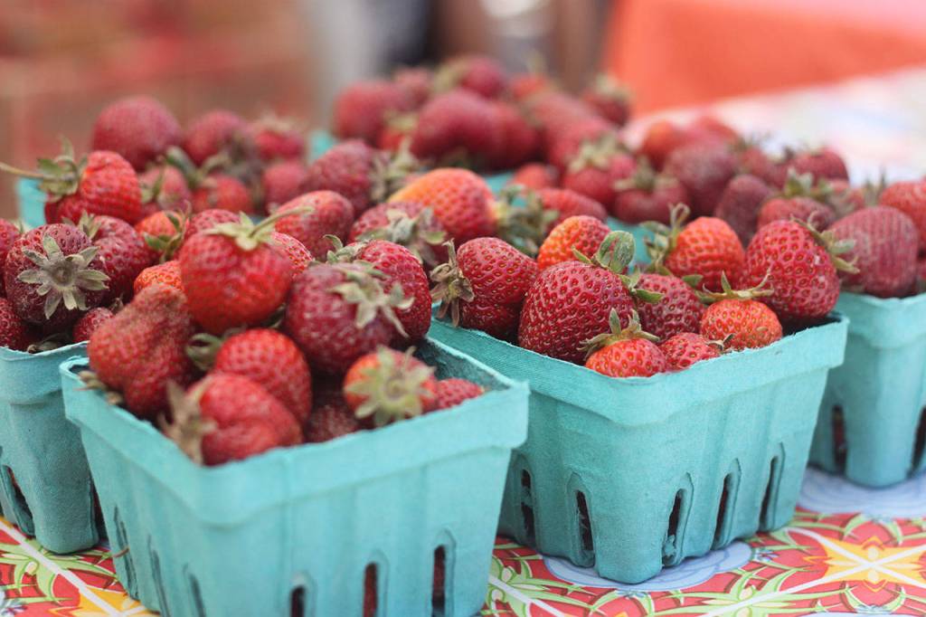 Renton Farmers Market opens for the season | GALLERY
