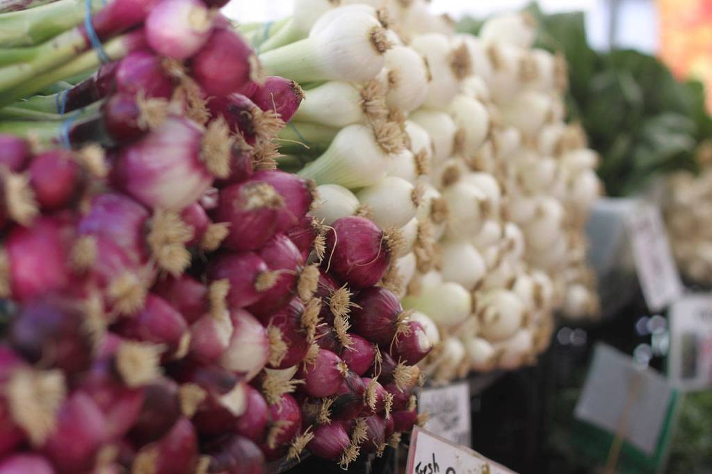 Renton Farmers Market opens for the season | GALLERY