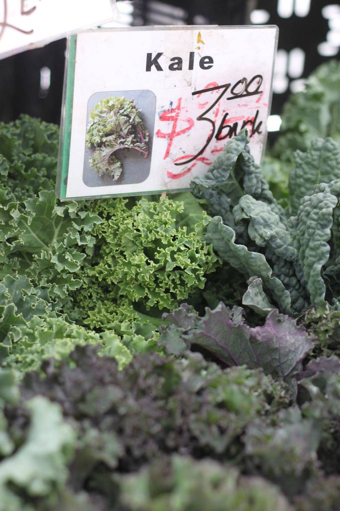 Renton Farmers Market opens for the season | GALLERY