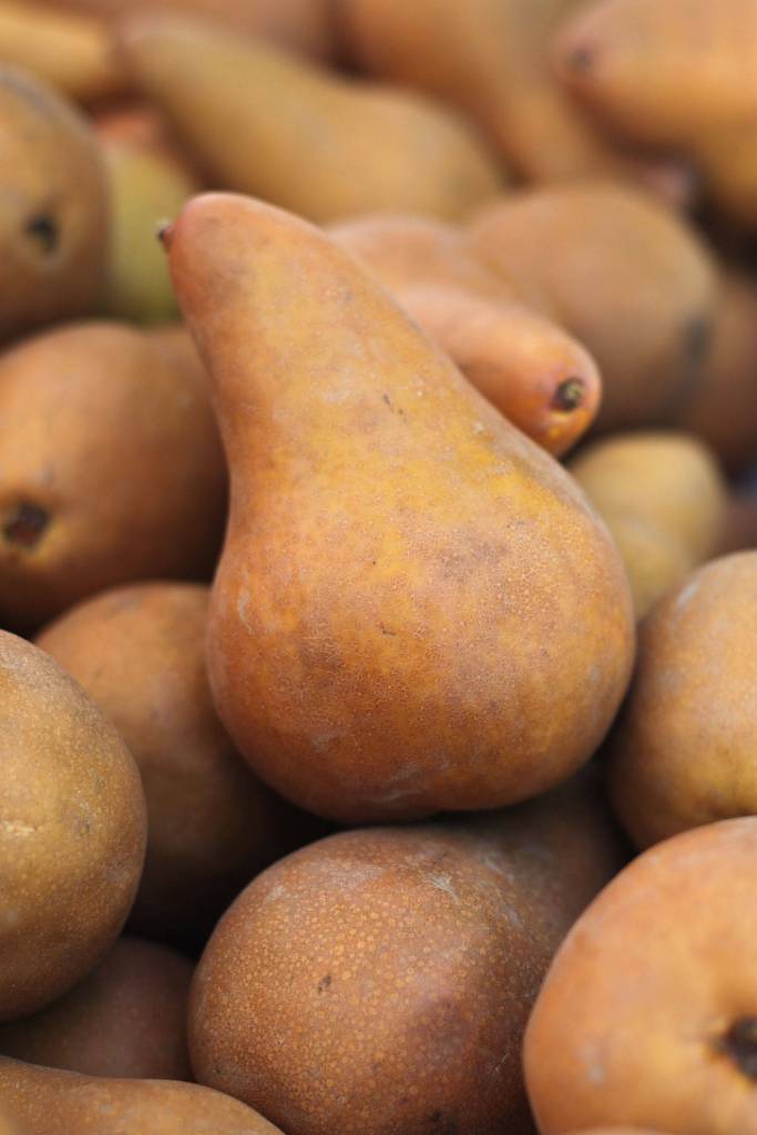 Renton Farmers Market opens for the season | GALLERY