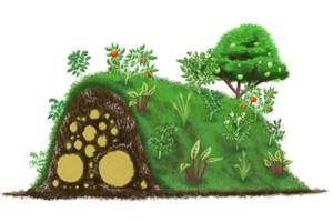 Learn more about hugelkultur on May 6