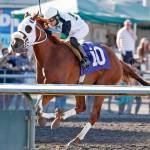 Monydontspenitself shines in Sunday feature | Emerald Downs
