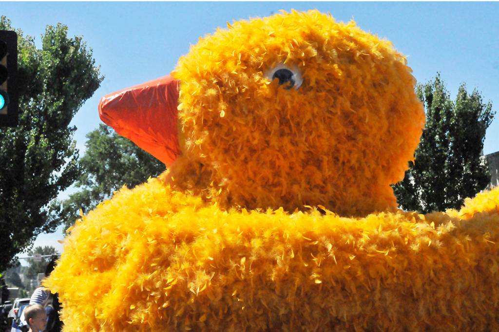 Renton River Days 2017 | GALLERY