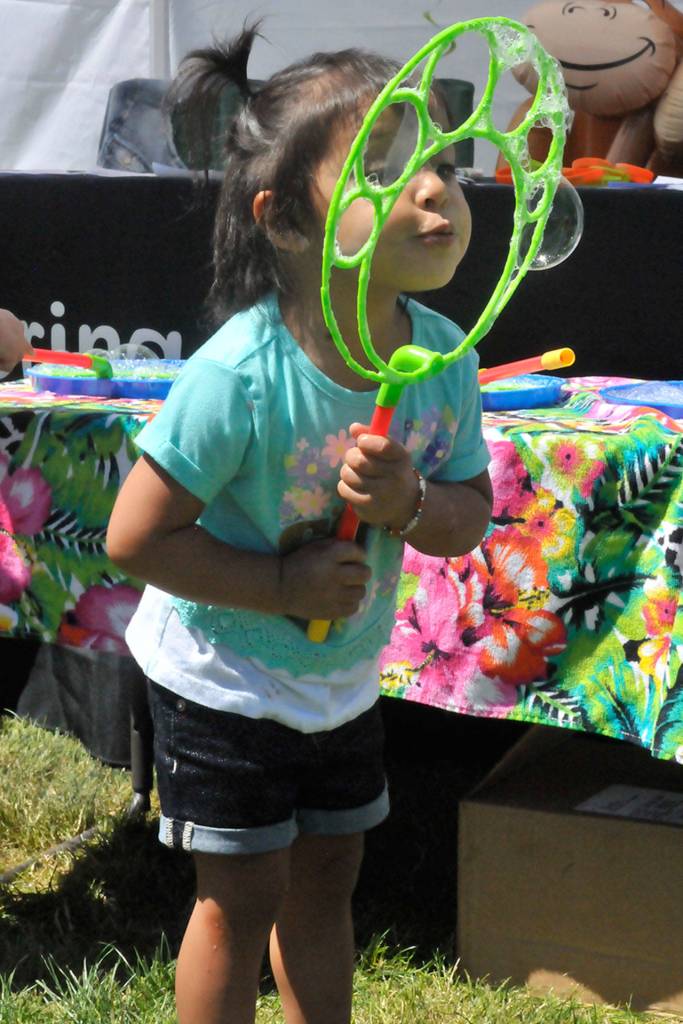 Renton River Days 2017 | GALLERY