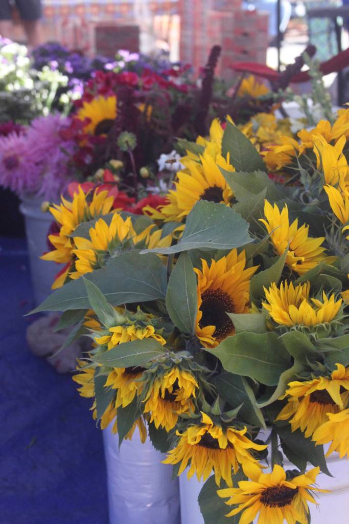 Fruits, veggies and flowers oh my! | PHOTO GALLERY