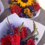 Fruits, veggies and flowers oh my! | PHOTO GALLERY