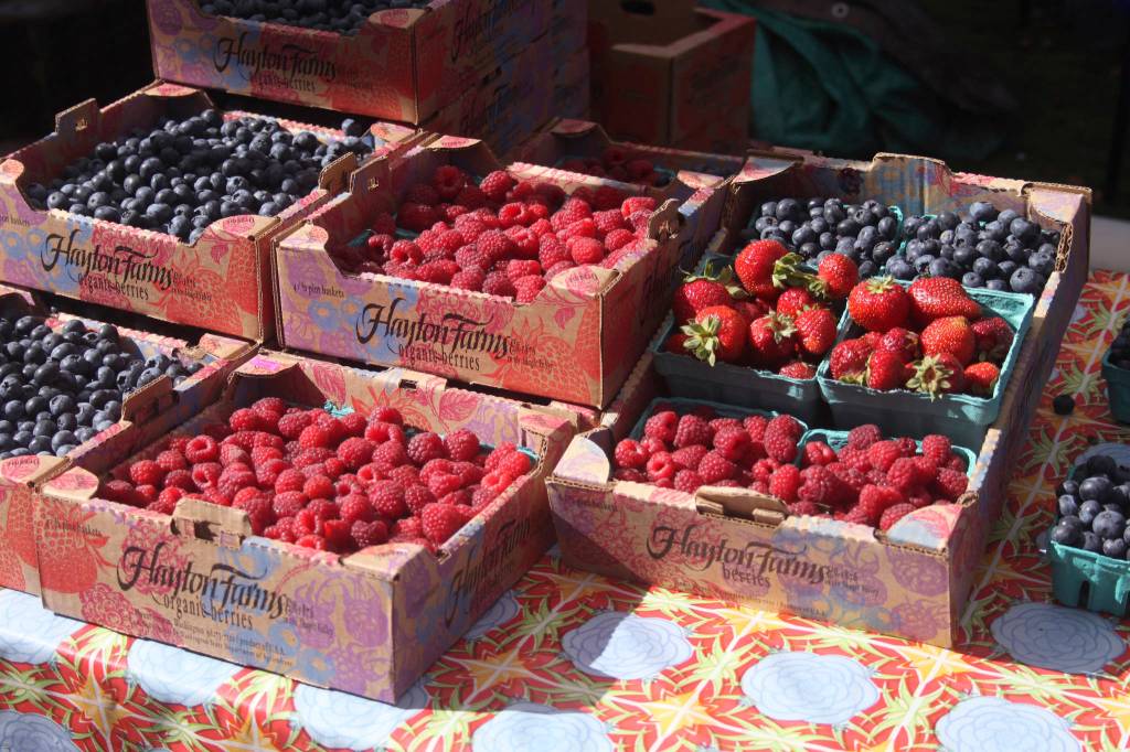 Fruits, veggies and flowers oh my! | PHOTO GALLERY