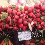 Fruits, veggies and flowers oh my! | PHOTO GALLERY