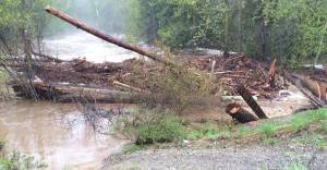 Logjam cleared from Cedar River, open for recreational use