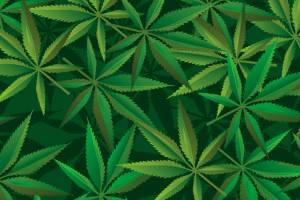 State officials meet with DOJ to discuss marijuana policy