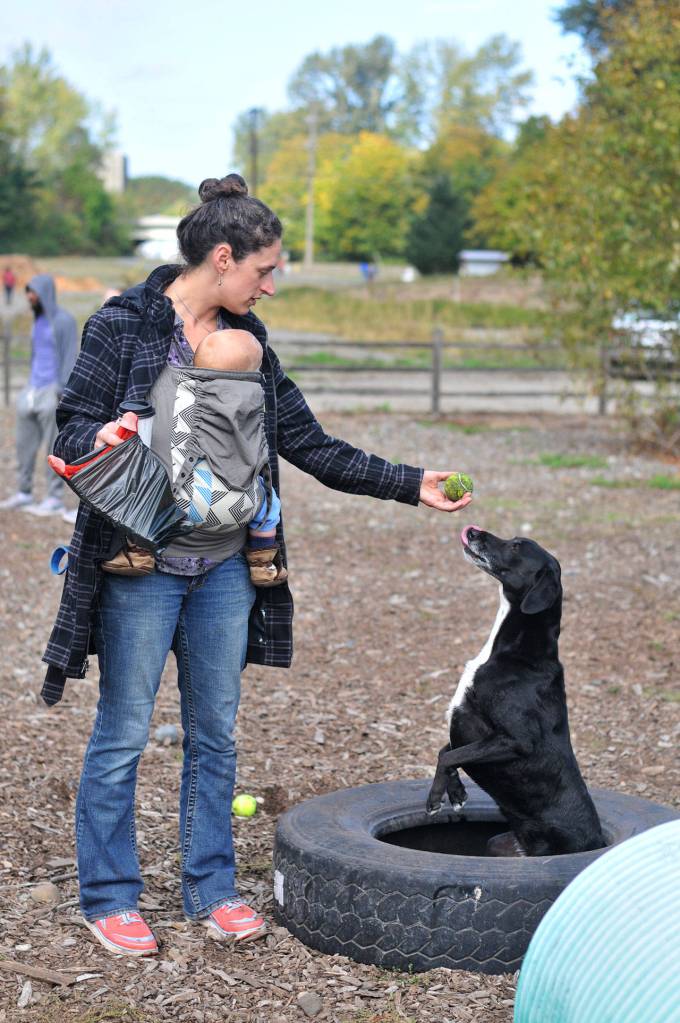 Bark in the Park | GALLERY