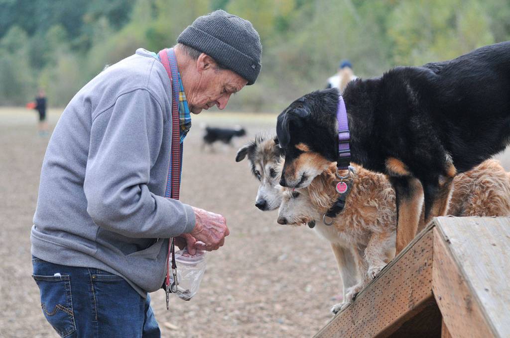 Bark in the Park | GALLERY
