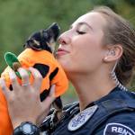 Bark in the Park | GALLERY