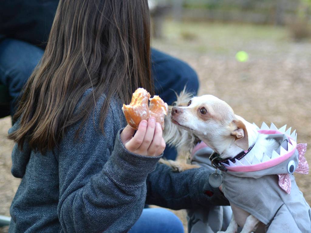 Bark in the Park | GALLERY
