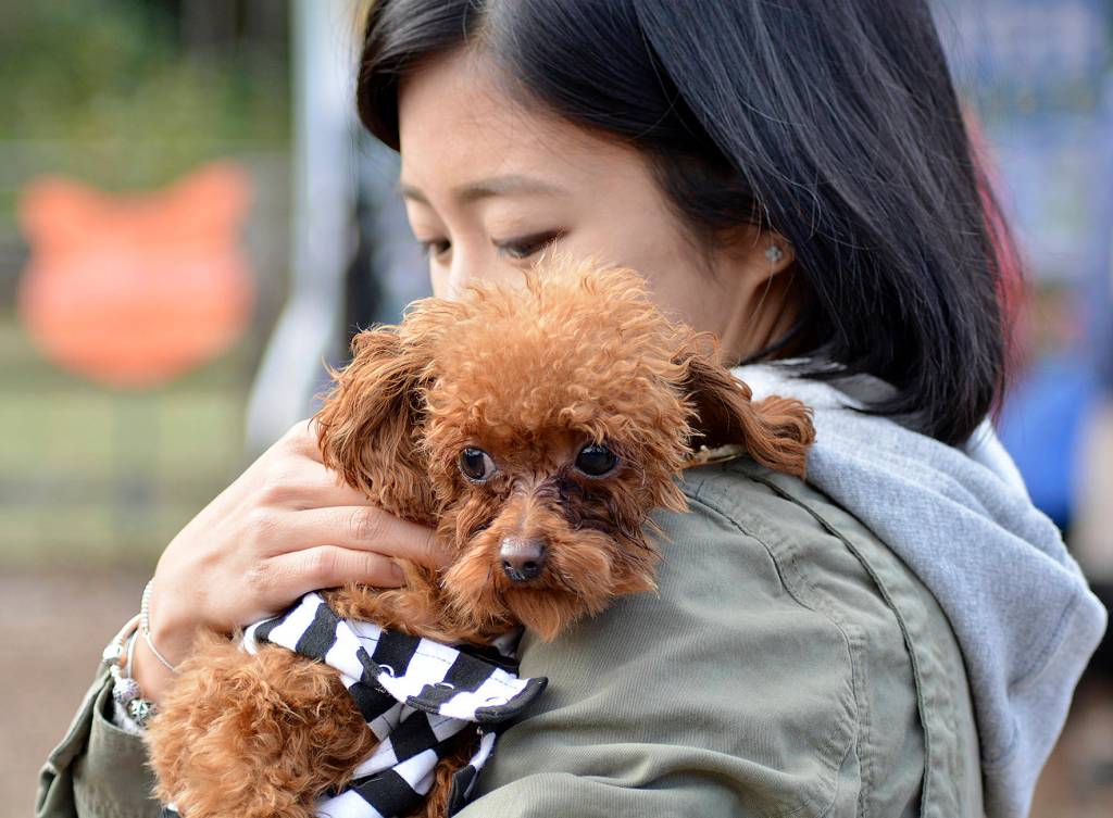 Bark in the Park | GALLERY