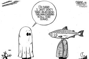 Scary salmon | COMIC