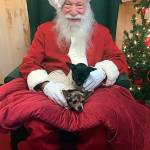 Santa takes pics with Renton pets