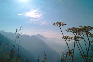 Inslee dealt a clean-air defeat