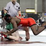 Photo courtesy of Vicki Maddy