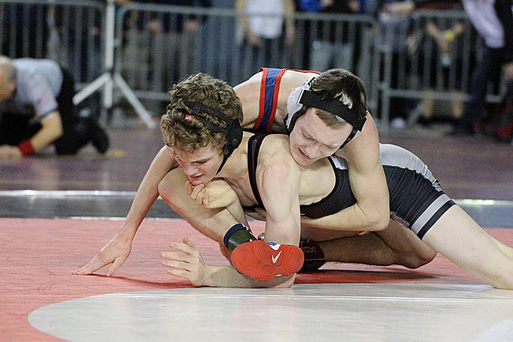 Photo courtesy of Vicki Maddy