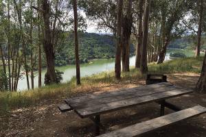 Washington state Parks to hire aides for summer