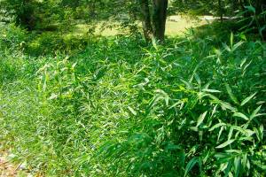 Photo by mightyjoepye on Flickr