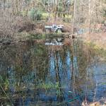 Attorney General wins felony convictions over illegal dump, wrecking yard in Renton