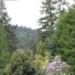 A view of the DeLeo Wall from May Valley Road Southeast. Aaron Kunkler/Staff photo